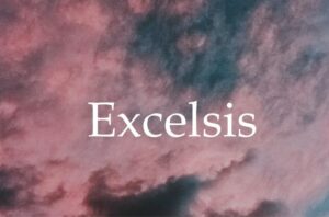 Brasserie Excelsis